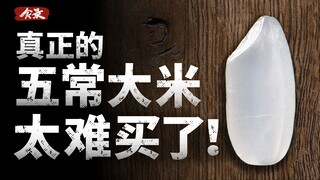 Tại sao mua được gạo Vũ Xương chính hiệu lại khó đến vậy? Việc truy xuất nguồn gốc thực phẩm khó khă