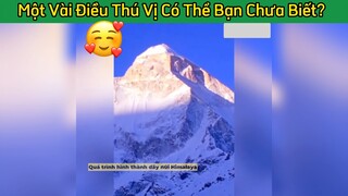 Điều kì diệu ở vũ này mà bạn chưa biết #thuvi #doisong #kienthuc