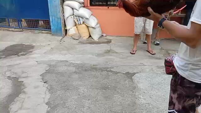 Talo nanaman