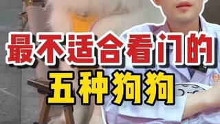 The Five Dog Breeds Least Suited for Guard Duty