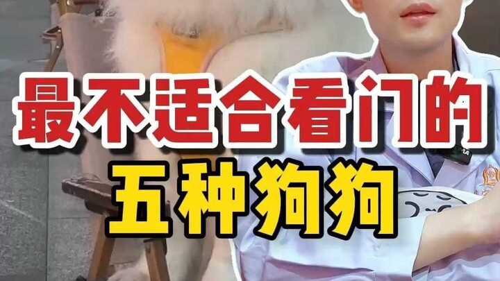 الخمسة كلاب الأقل ملاءمةً للحراسة