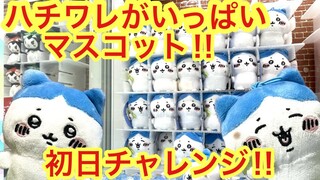 【ちいかわ】ハチワレがいっぱいマスコットにチャレンジ！！初日の設定はいかに！？ハチワレ推し必見の可愛いちいかわグッズです＾＾