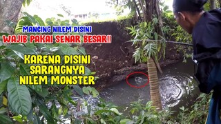 HARUS PAKAI SENAR BESAR..!! MANCING DI SARANG NILEM MONSTER || Ukuran Ikan Nilem Disini GAK WAJAR!!