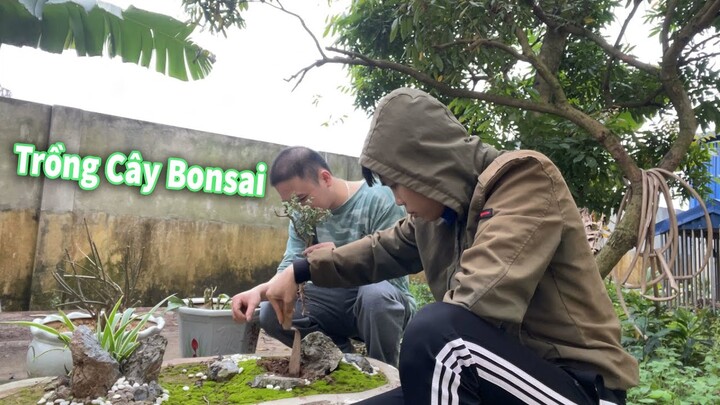 Một Ngày Trồng Cây Bonsai Lên Chậu Của Chúng Mình