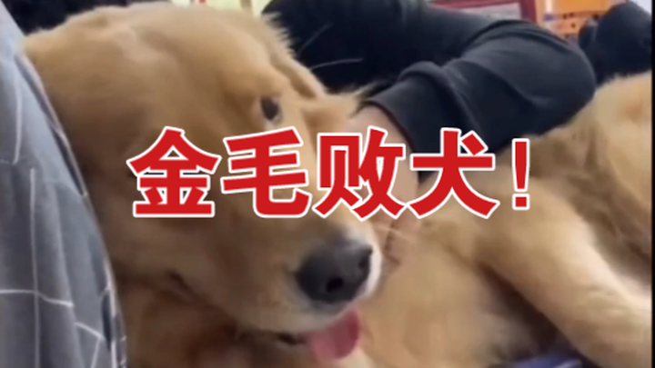 [Quan sát ngớ ngẩn] 18 Đã kiêu ngạo đến thế rồi sao?