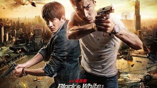 BLACK & WHITE : DAWN FOR THE JUSTICE (2014) movie in Hindi