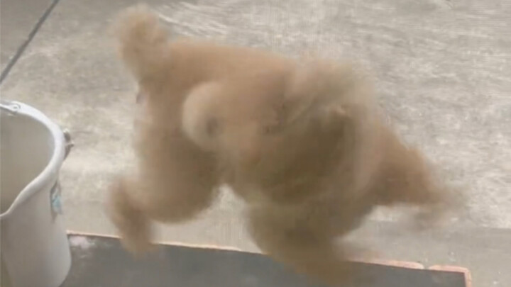 عذراً، نسيت أن أفتح لك الباب ههههه...