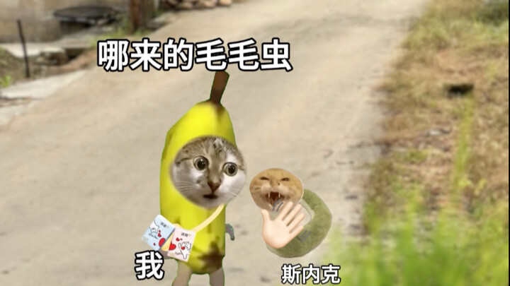 蛇：没想到本命年过的这么窝囊