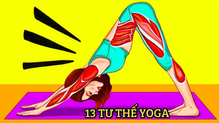 [Soi Sáng] - 13 Tư Thế Yoga Giúp Căng Cơ Lưng Dưới Và Làm Săn Chắc Toàn Thân