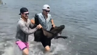 原来疯狂的钓鱼佬也是欺软怕硬啊！