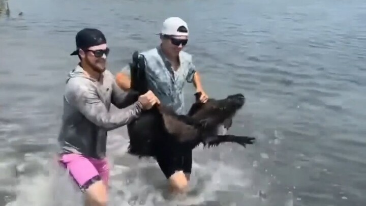 So it turns out even crazy anglers are tough on the weak and timid!