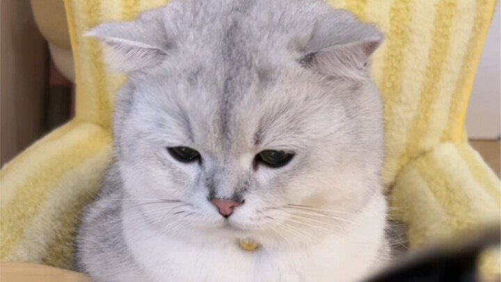 Every tiny water droplet is like an emoji!