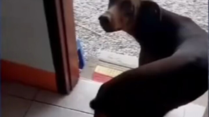 College Student Who Went Home Early