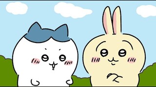 大事なものを見せ合うハチワレとうさぎ.webm