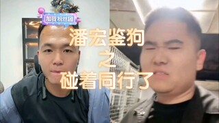 [Pan Hong Live Replay] "The dog didn't get the job, but its owner did!"
