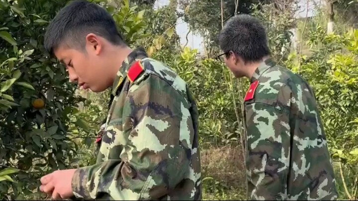 Top Funny Moments in the world part 13 🤣