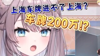 一个上海车牌200万？震惊日本猫猫一整年！