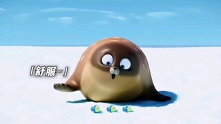 海豹们的迷惑行为