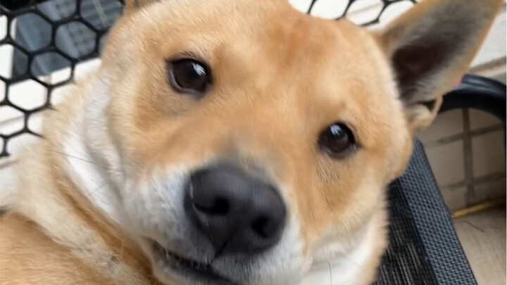 The Most Important Event of a Lifetime