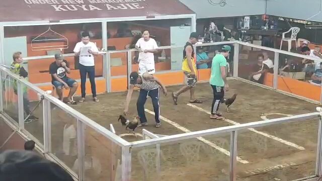 talisayin win mayahin loss samok na samok sa laban