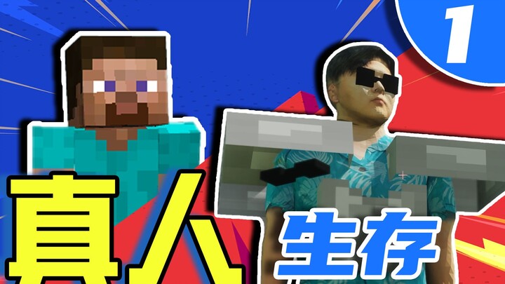 This might be the most realistic survival in MC history.