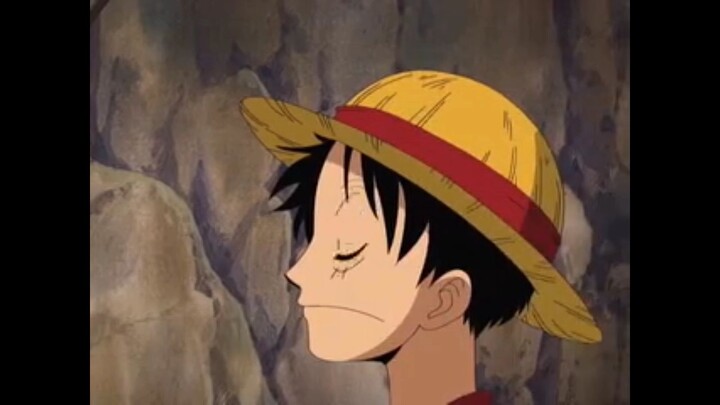 moment lucu luffy