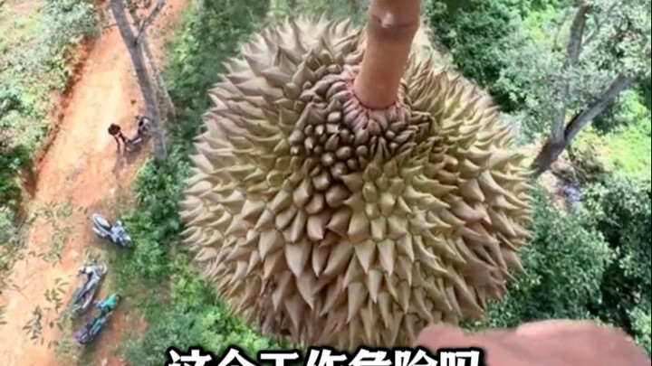 Bagikan 9 jenis pekerjaan berisiko tinggi, ayo rekomendasikan kepada teman-temanmu!