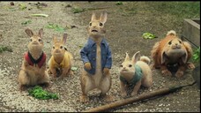 PETER RABBIT: full movie:link in Description