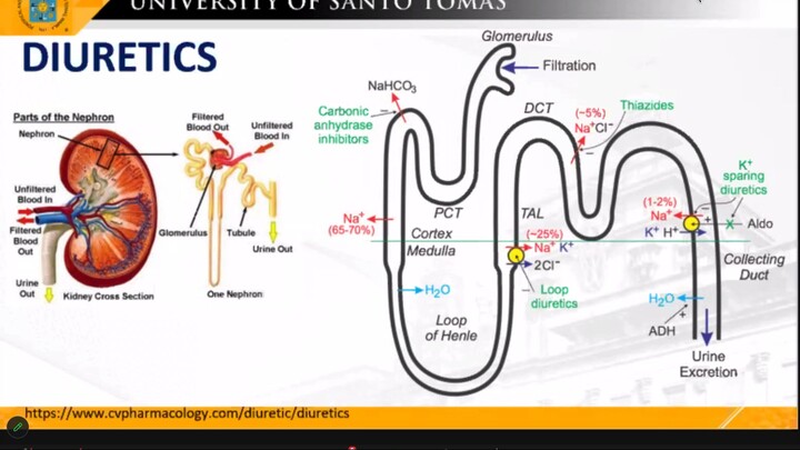 Hypertension - Part 3