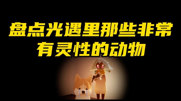 Apa saja hewan-hewan ajaib yang ada di Sky: Children of the Light? Seru banget