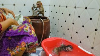 Morning Routine Bathing!! Adorable Toto & Yaya so happy they are jumping, playful when taking a bath
