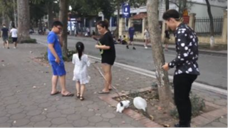 Troll đường phố Kéo Lê Bóng Bay Đã Bơm Khí Hidro #3