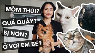 Rất nhiều thắc mắc của các bạn về chuyện nuôi chó mèo