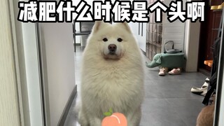 减肥什么时候是个头啊！