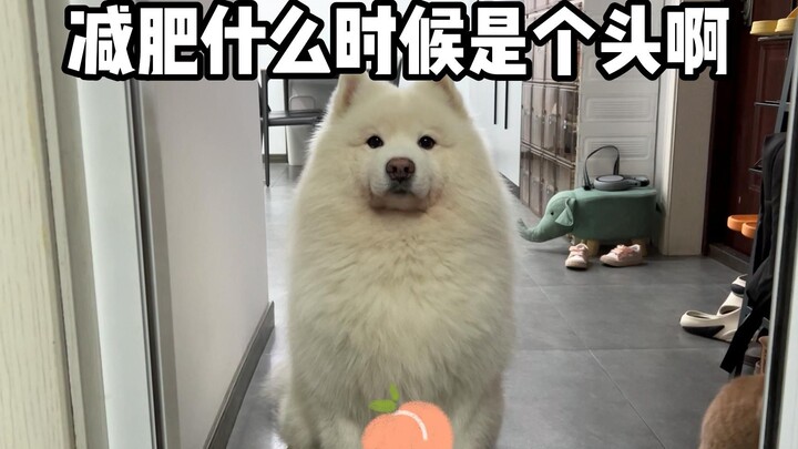 When will this weight loss end?