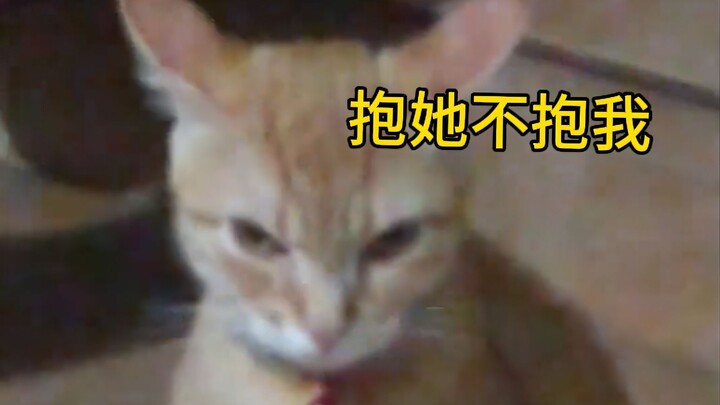 ความอิจฉาของน้องแมวมันแสดงออกมาทางสีหน้าเลย!