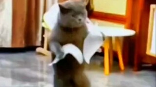 Will it take off right where it is if we stick them all on?