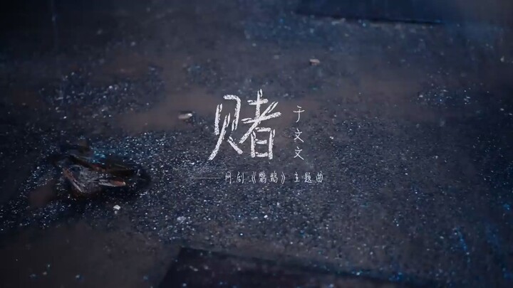 于文文Kelly Yu《赌》Official Music Video