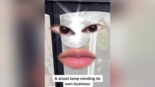Moths be something else SephoraLipLooks fyp follow xyzbca moths