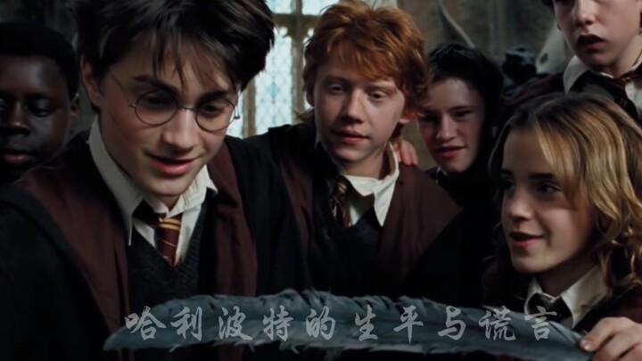 Cuộc đời và những lời nói dối của Harry Potter