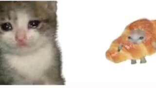 Kucing croissant, tapi dengan sulih suara bahasa Mandarin