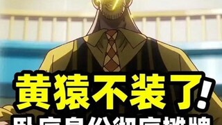 黄猿卧底身份终究没能藏好!他也一直在等待尼卡的出现