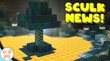 Sculk Corruption, Catalysts, & More! | Minecraft 1.19 Sculk News
