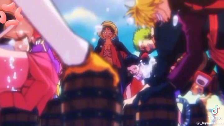 Mugiwara Crew and members..