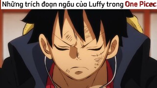 Những trích đoạn koll ngầu
