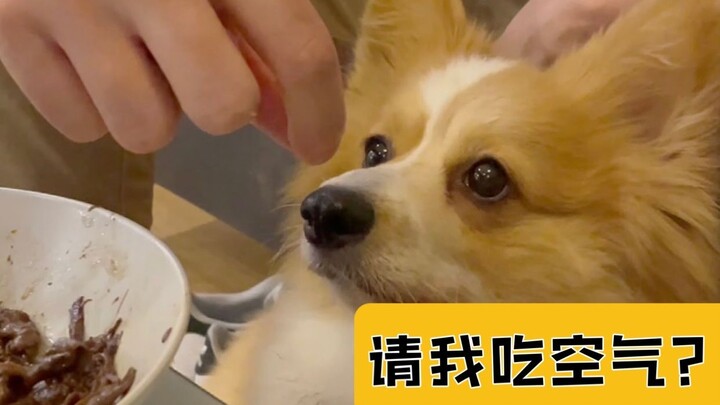 法国主厨家的爱犬吃什么？