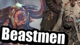 [Tarriff] นี่คือการใช้ชีวิตแบบ Beastmen 