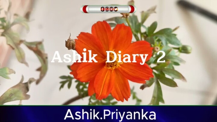 নতুন গল্প