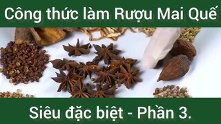 Công thức làm Rượu Mai Quế siêu đặc biệt phần 3