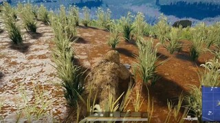 I am so impressed! I picked up a ghillie suit and lay down there!